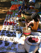 Mercato Madagascar